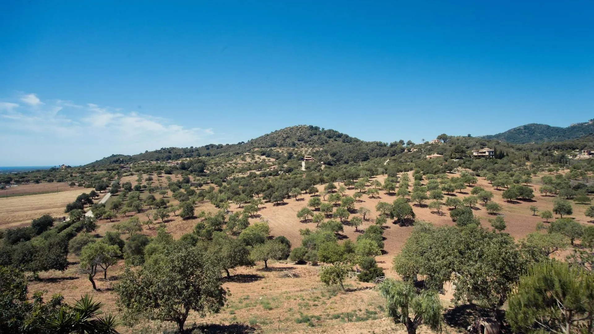 Finca Turo Golf S'Horta 0*,  Espagne